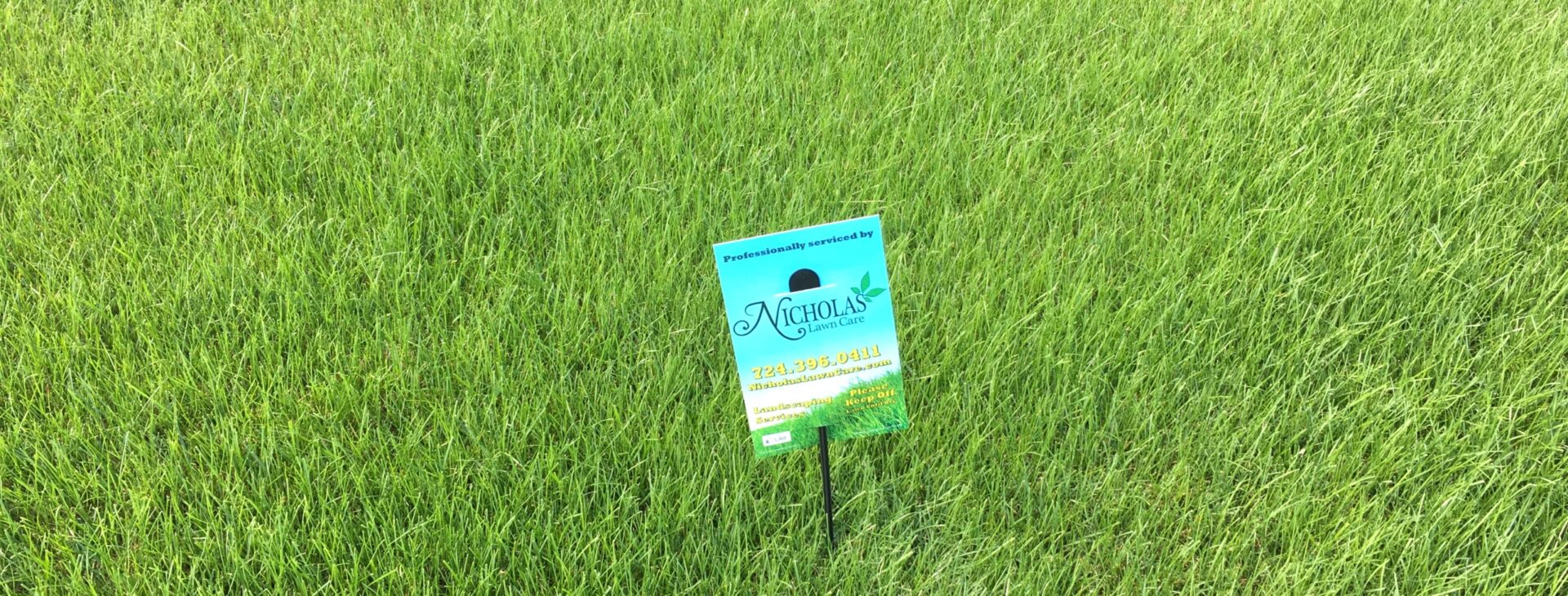 Call Today For Spring Treatment