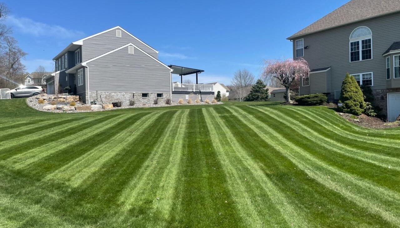 We Make Your Backyard Special